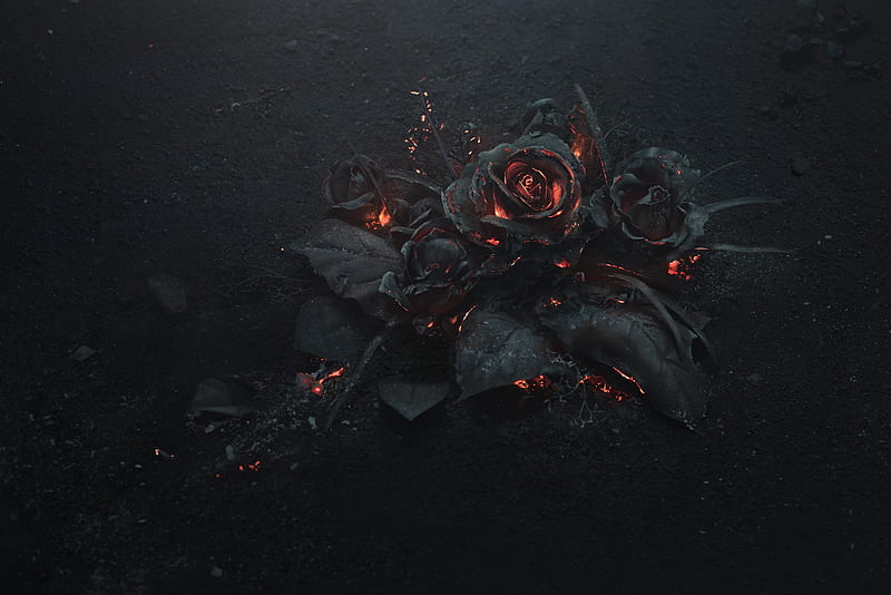 Burning Roses , rose, flowers, fire, dark, HD wallpaper