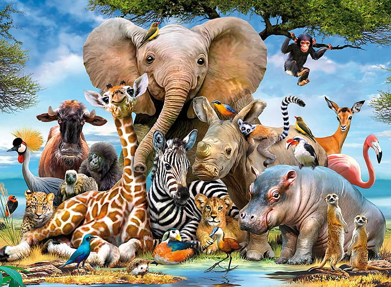 African animal, cute, elephant, african, selfie, funny, giraffe, animal, HD wallpaper
