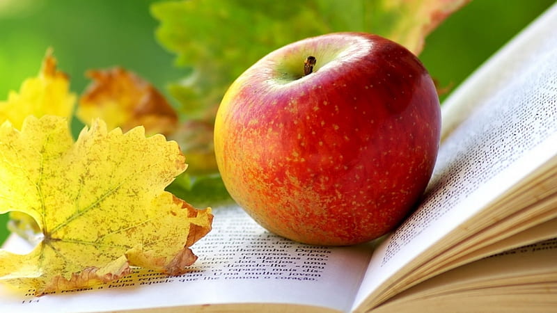 Autumn reading, fall, autumn, fruits, book, graphy, leaves harmony, apple, harvest, relax abstract, softness, leaf, reading, still lift, nature, HD wallpaper