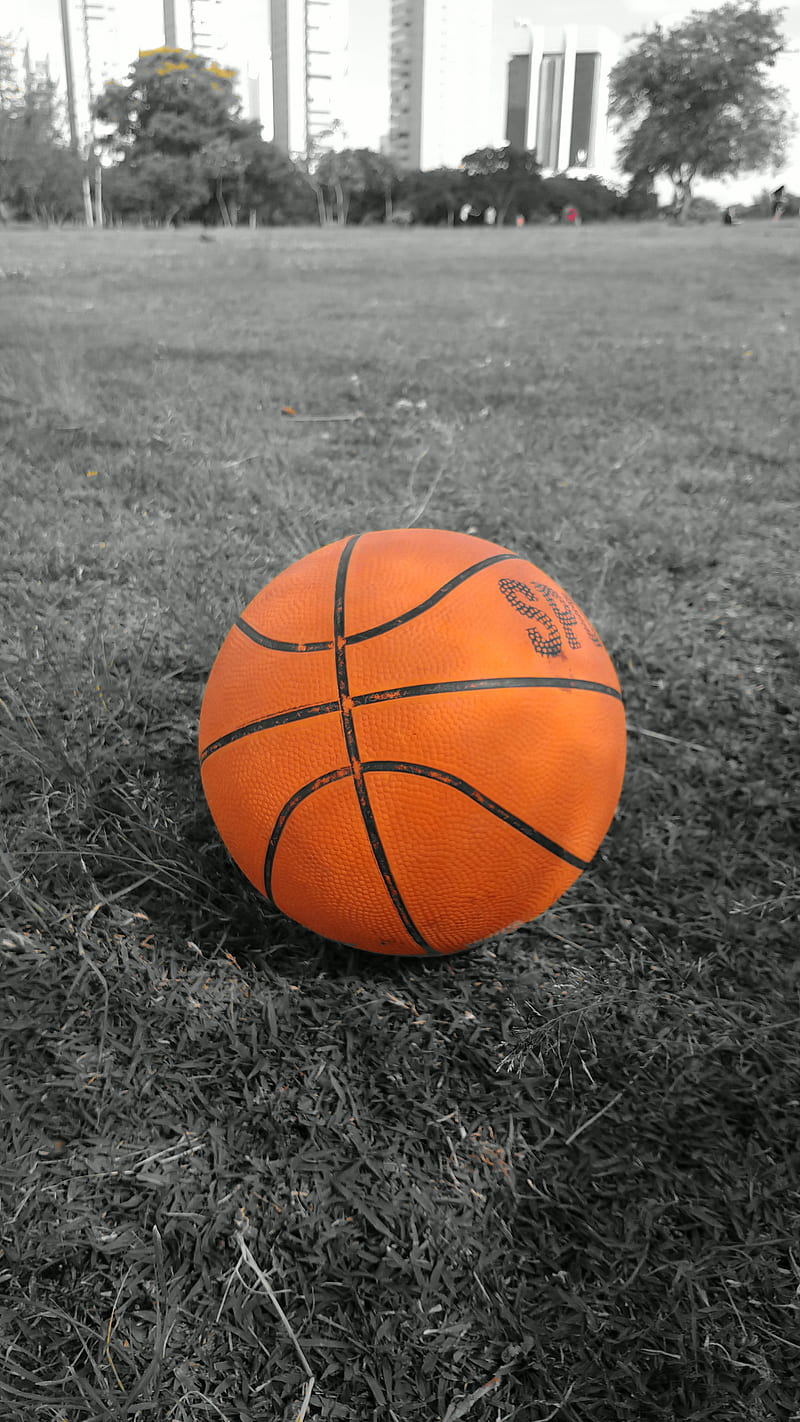 Basketball, ball of basketball, basquete, bola de basquete, brazil, brazil, esporte, nature, sp, sport, HD phone wallpaper