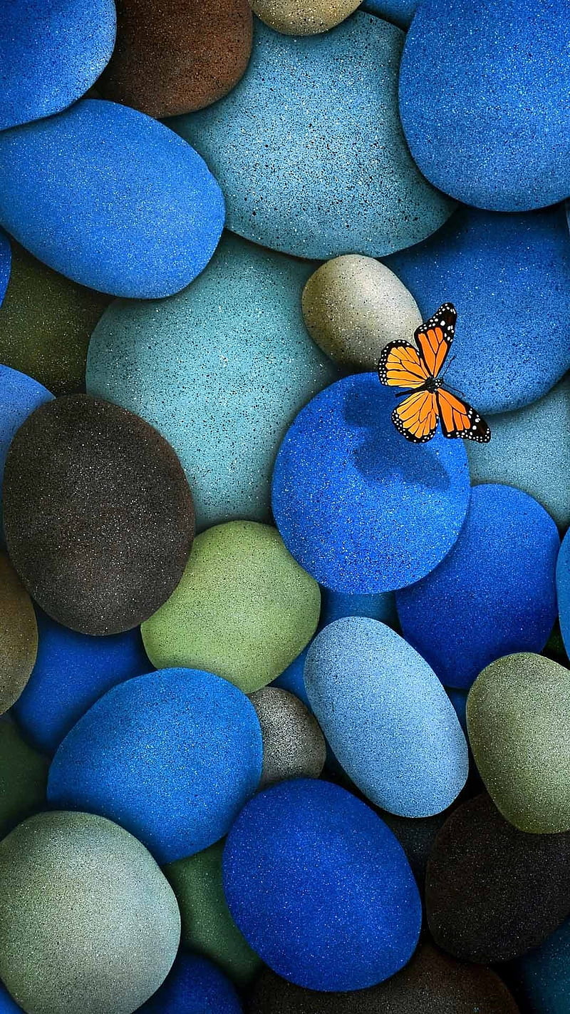 Butterfly on colorful pebbles , blue, nature, HD phone wallpaper