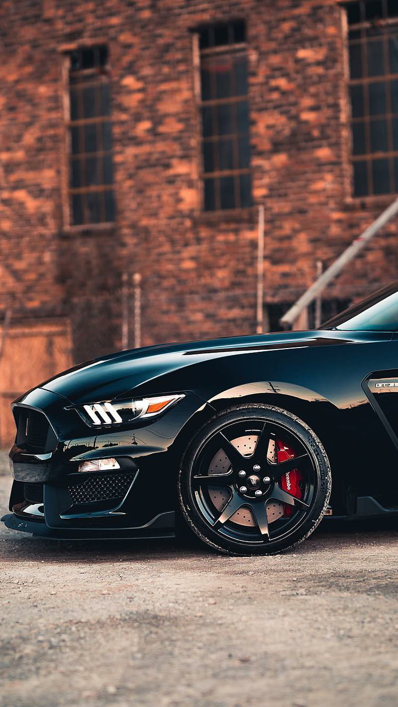 Stealth Stang Ford Mustang America Black Car Muscle Car Supercar