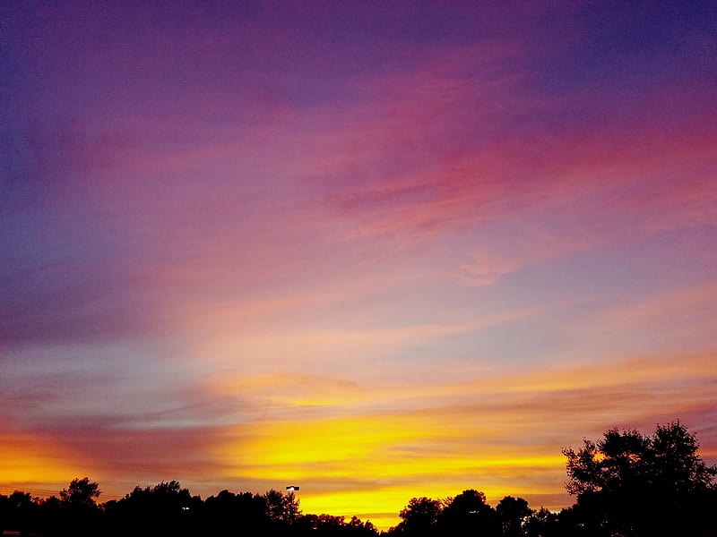 Download Happy Buu enjoying colors of sunset Wallpaper