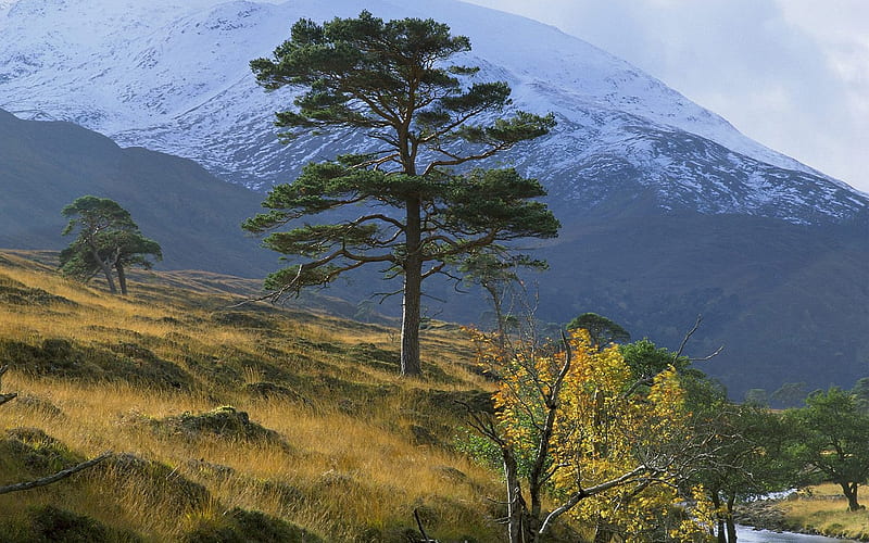 Scottish landscape, HD wallpaper