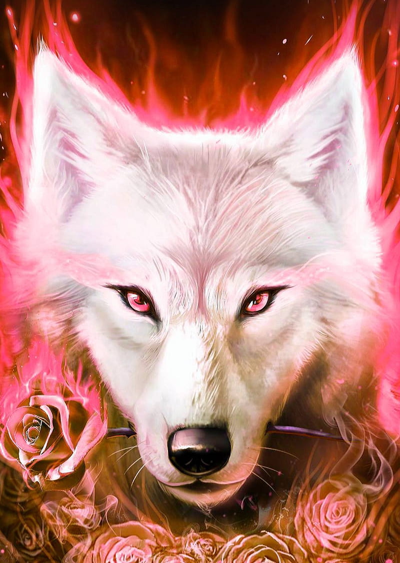 White wolf, HD phone wallpaper | Peakpx