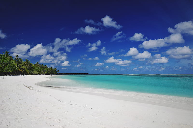 beach, sand, palm, island, tropical, maldives, HD wallpaper