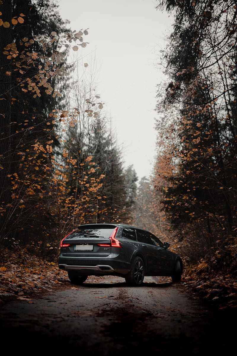 Volvo Car Gray Forest Autumn Hd Mobile Wallpaper Peakpx