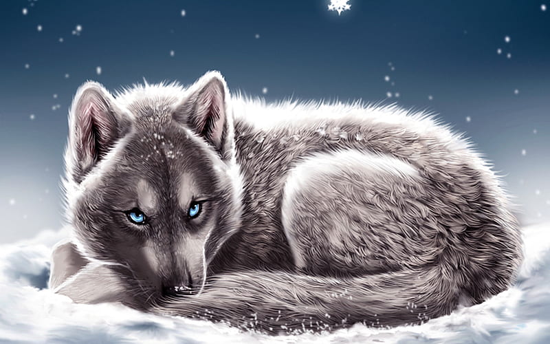 wolf, snowdrifts, winter, snowflakes, blue eyes, fantasy art, predators, HD wallpaper