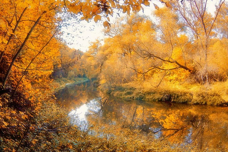 Colorful Fall Riverscape, forest, colorful, fall, autumn, leaves, orange, river, HD wallpaper