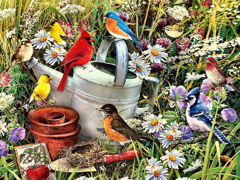 Gardener's Delight F, Cardinal, Robin, bonito, illustration, artwork, animal, House Finch, Bluebird, painting, wide screen, Blue Jay, art, Sparrow, bird, Goldfinch, avian, wildlife, nature, HD wallpaper