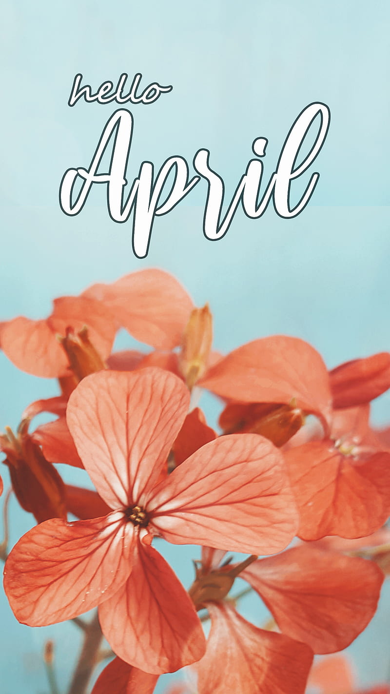 Hello April, Spring, bloom, blossom, flowers, march, nature, planet earth,  sky, HD phone wallpaper | Peakpx