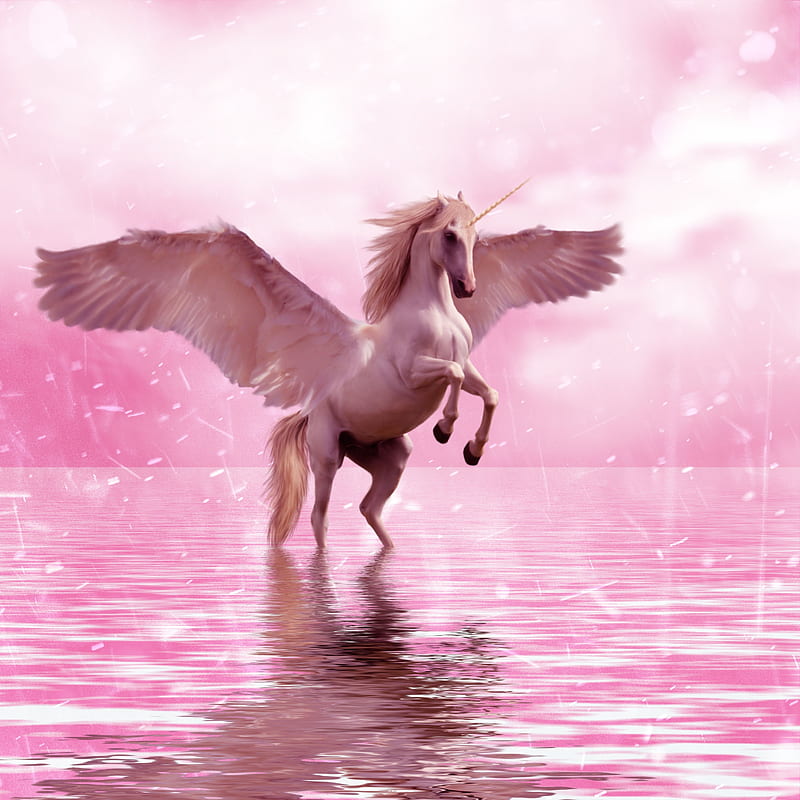 pegasus, unicorn, wings, horse, creature, Fantasy, HD phone wallpaper