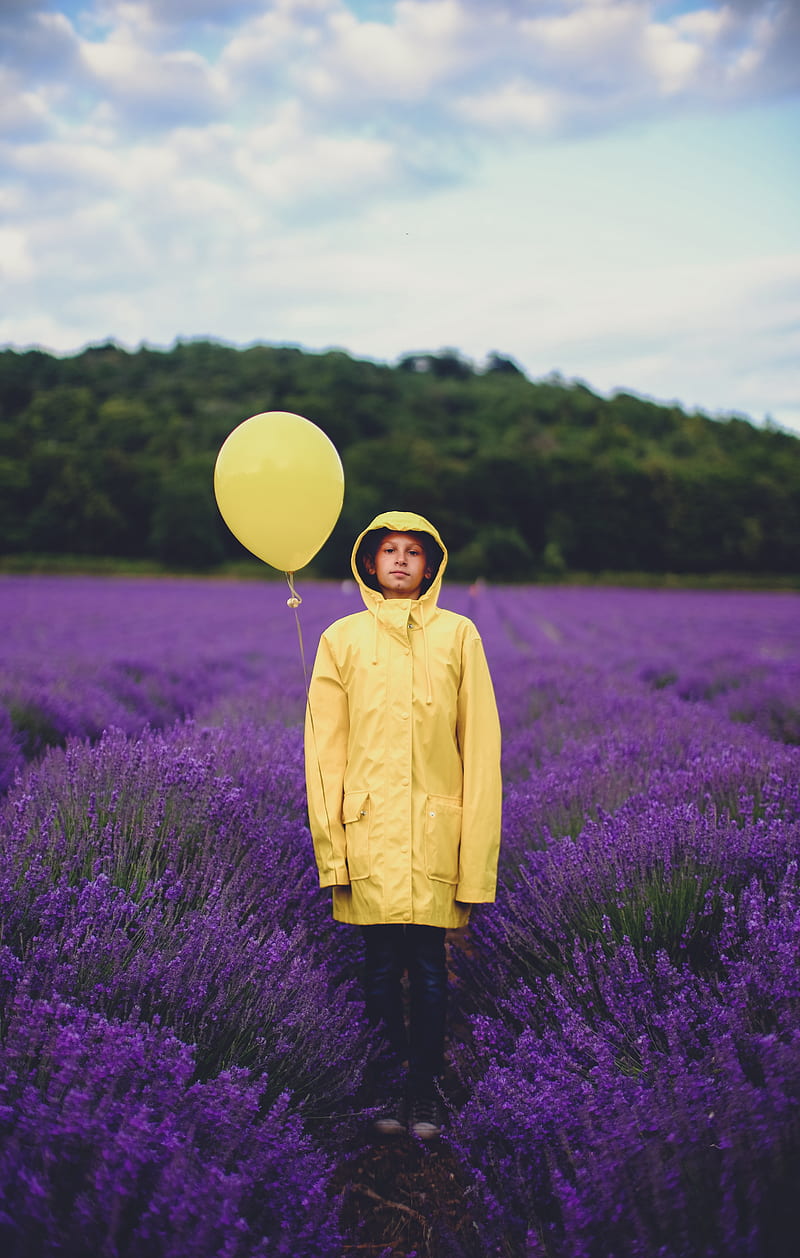 woman in yellow dress shirt near purple flower field, HD phone wallpaper