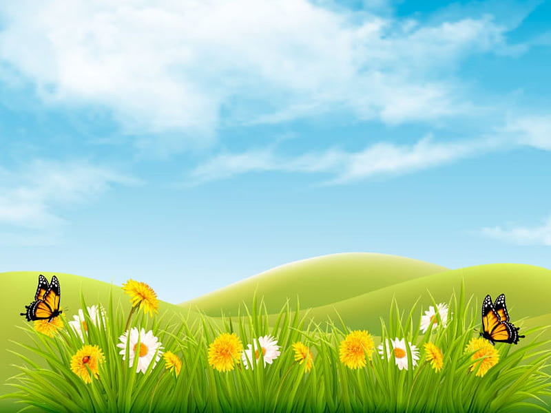 Spring background, Flowers, Grassland, Sunny, Butterfly, Lawn, HD wallpaper