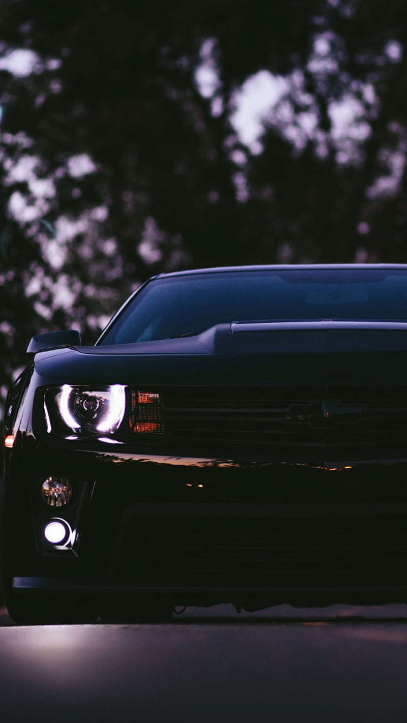 Car, charger, cool, dodge, golf, muscle, mustang, polo, quattro, HD phone wallpaper