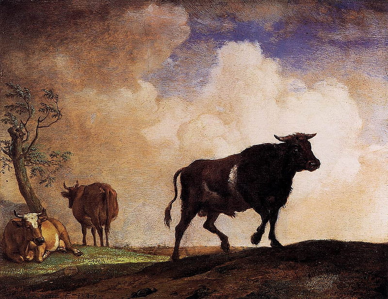 THE BULLS, bulls, tree, three, sitting, walking, gazing, field, HD wallpaper