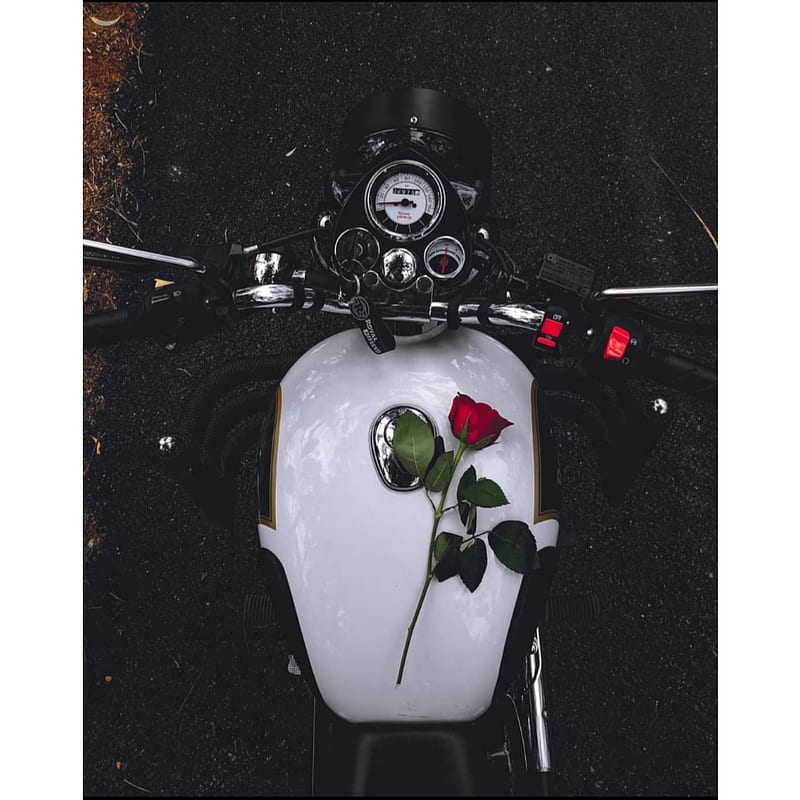 Bullet, alone, rose, warrior, bike, HD phone wallpaper