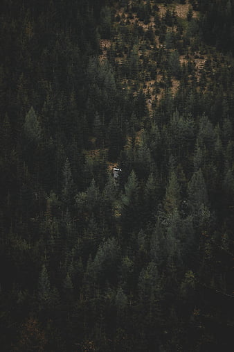 Moody Forest, green, house, minimalism, mountain, mountains, nature, HD  phone wallpaper | Peakpx