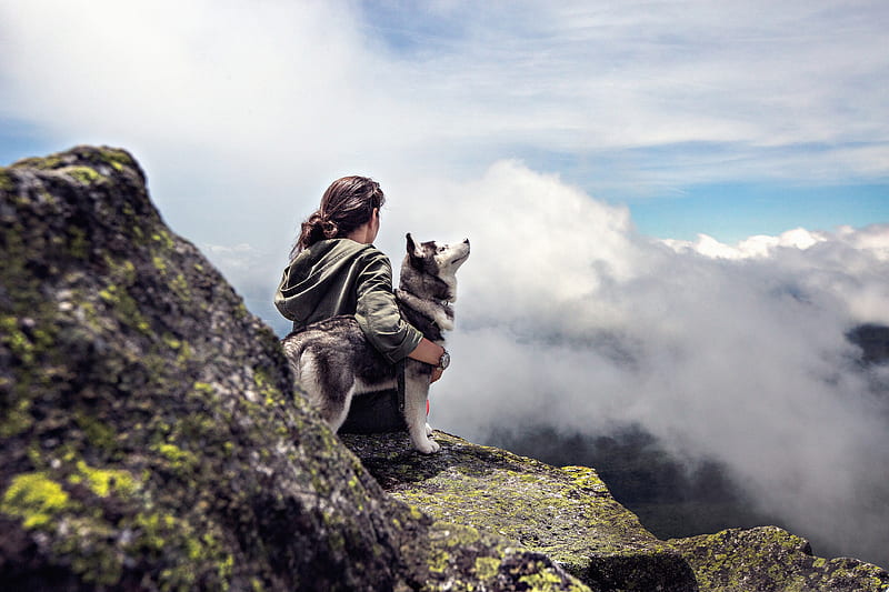 Girl With Siberian Husky, siberian-husky, animals, dog, women, graphy, HD wallpaper