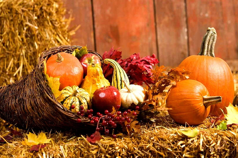 Autumn Harvest, Fall, apples, y, gourds, straw, horn of plenty, fruit, still life, leaves, Thanksgiving, cornucopia, berries, Autumn, pumpkins, HD wallpaper