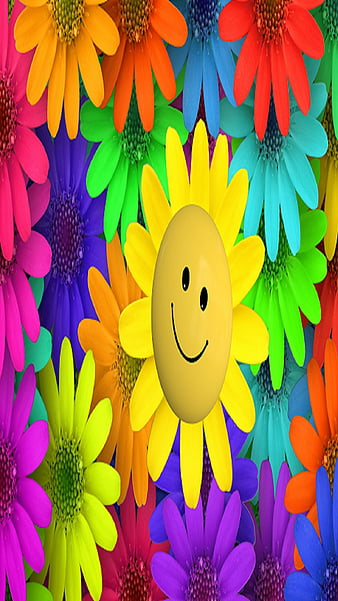 Smile flower HD wallpaper  Peakpx