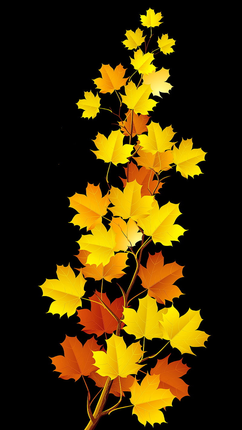 Fall Leaves, fall autumn, HD phone wallpaper