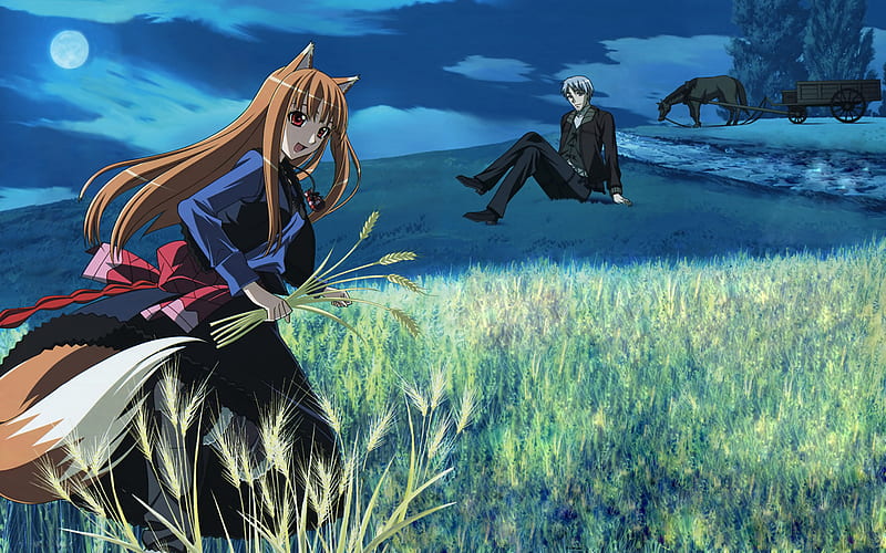 Spice and Wolf, wolfgirl, horo, wheat, lawrence kraft, horse, wolf girl, holo, wolf, night, HD wallpaper