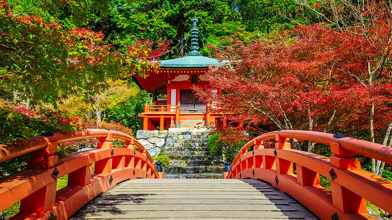 Autumn temple, fall, Kyoto, autumn, japan, bridge, temple, colors, bonito, garden, HD wallpaper