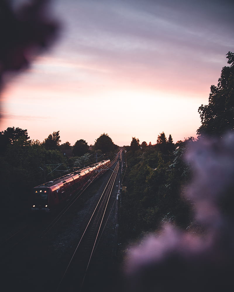 train, railway, rails, trees, twilight, dark, HD phone wallpaper