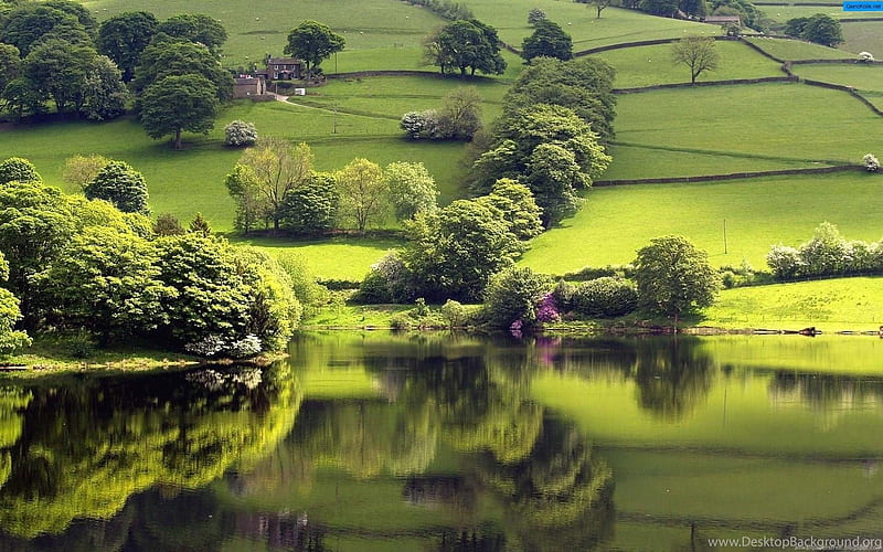 English countryside in Spring, Trees, Fields, Lakke, Green, HD wallpaper