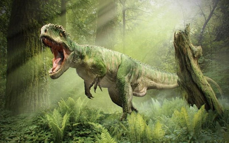 Carcharodontosaurus, t rex, trees, dinosaur, teeth, carnivone, HD wallpaper  | Peakpx