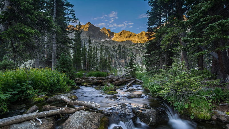 wild mountain stream through a forest, forest, stream, rocks, mountains, logs, HD wallpaper
