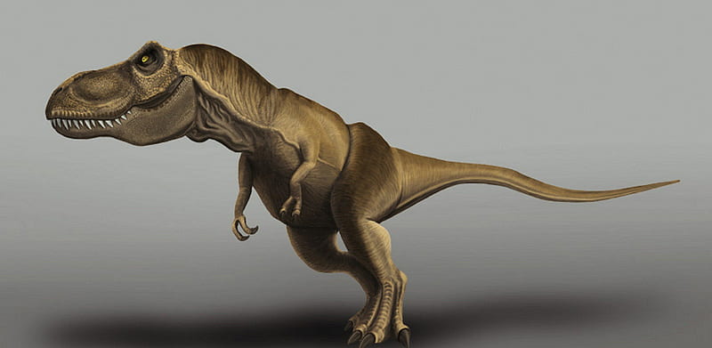Tyrannosaurus Rex, saurus, 1, tyrano, rex, HD wallpaper