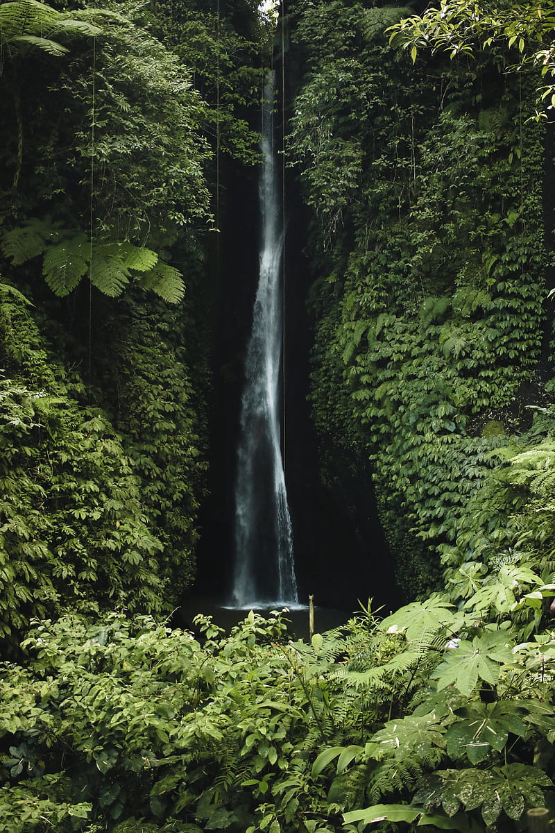 waterfall, cliff, greenery, vegetation, nature, HD phone wallpaper