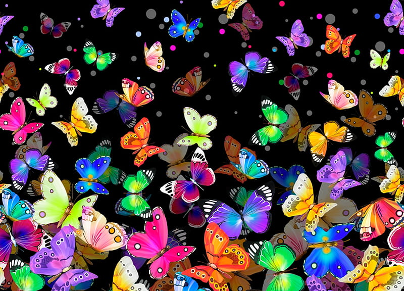 Butterflies, pattern, colorful, butterfly, texture, black, rainbow, paper,  HD wallpaper | Peakpx