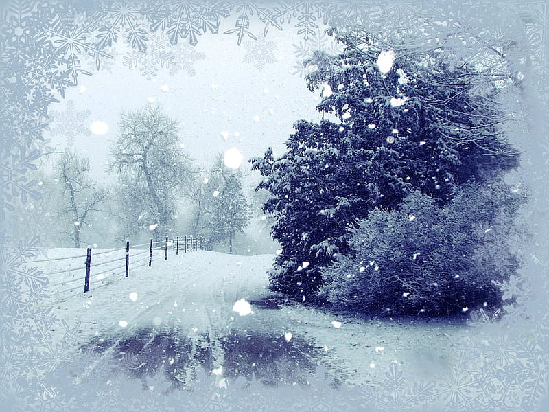 Winter Lane, tree, lane, snow, winter, HD wallpaper