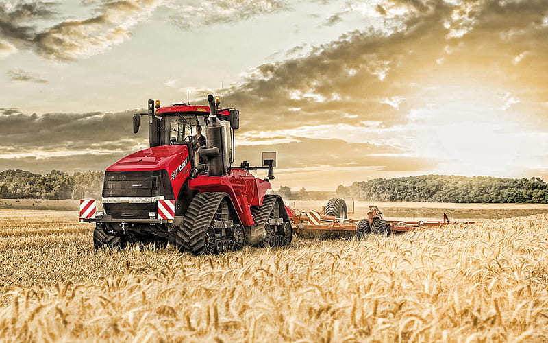 Case IH Quadtrac 620, Agricultural tractor, harvesting concepts, tractor on tracks, wheat field, modern tractors, Case, HD wallpaper