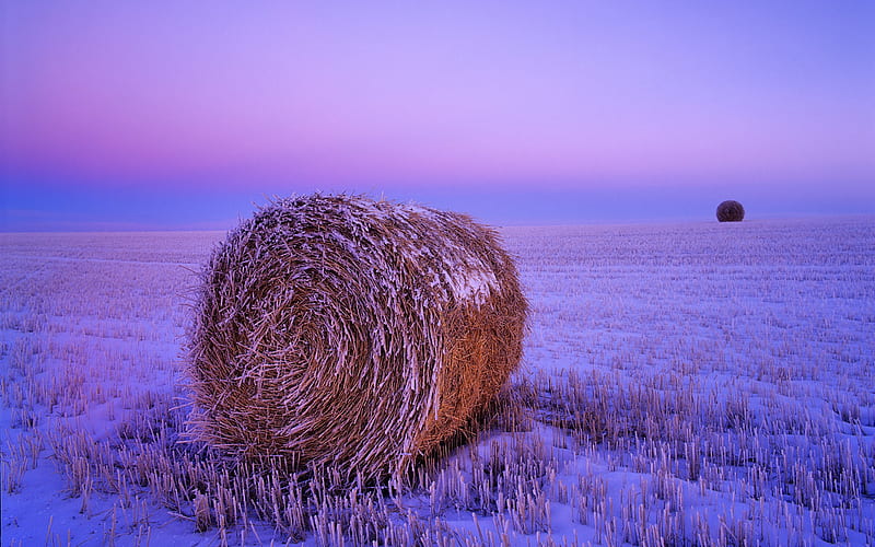 North Dakota snow on a haystack, HD wallpaper