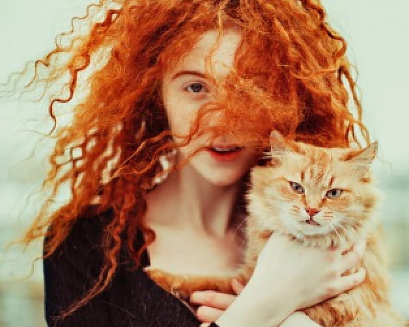 Beauty and Cat, hair, cat, woman, animal, HD wallpaper