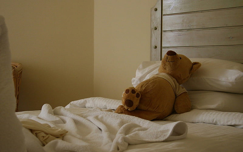 Jerry Bear Sleeping, bear, paws, sleeping, bed, HD wallpaper