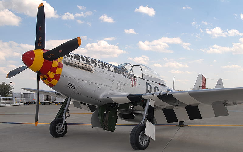 The Old Crow, mustang, old crow, p 51, warbirds, wwii, p51, p51 d mustang, warbird, HD wallpaper