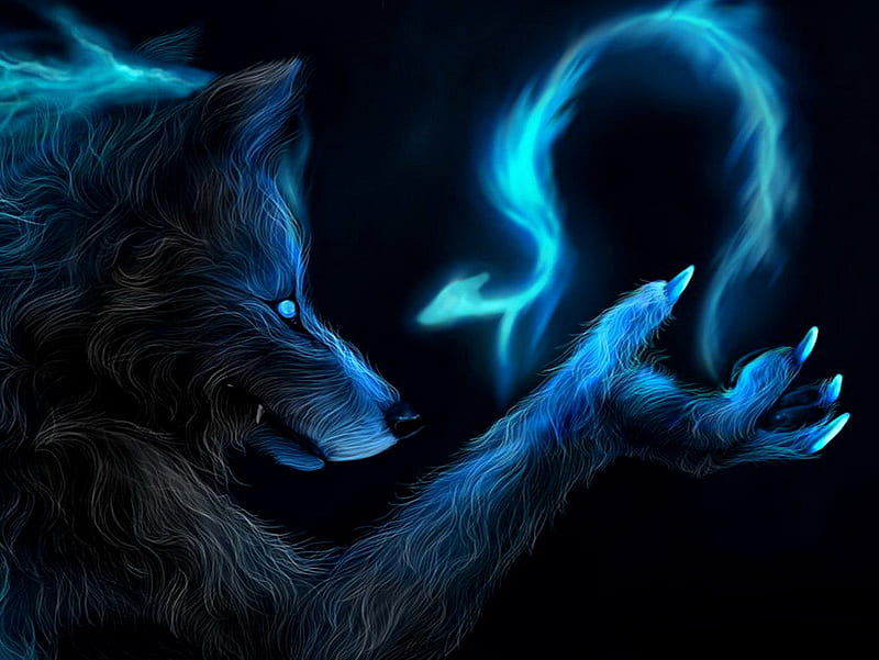 Magic Wolf, spell, HD wallpaper