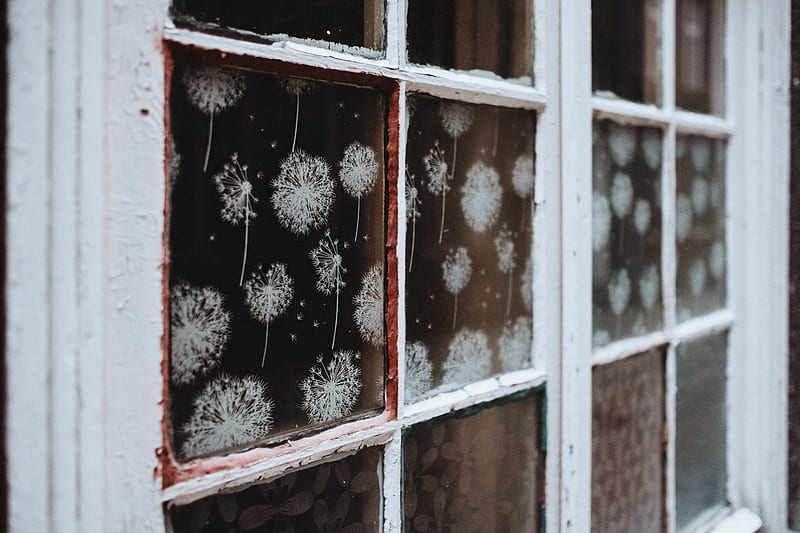 closed white framed glass-panel window, HD wallpaper