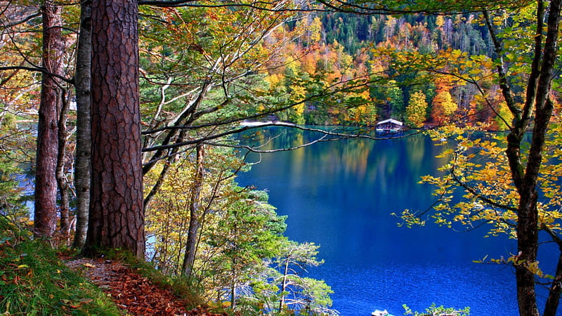 wonderful autumn lake view , forest, autumn, houseboat, lake, blue, HD wallpaper