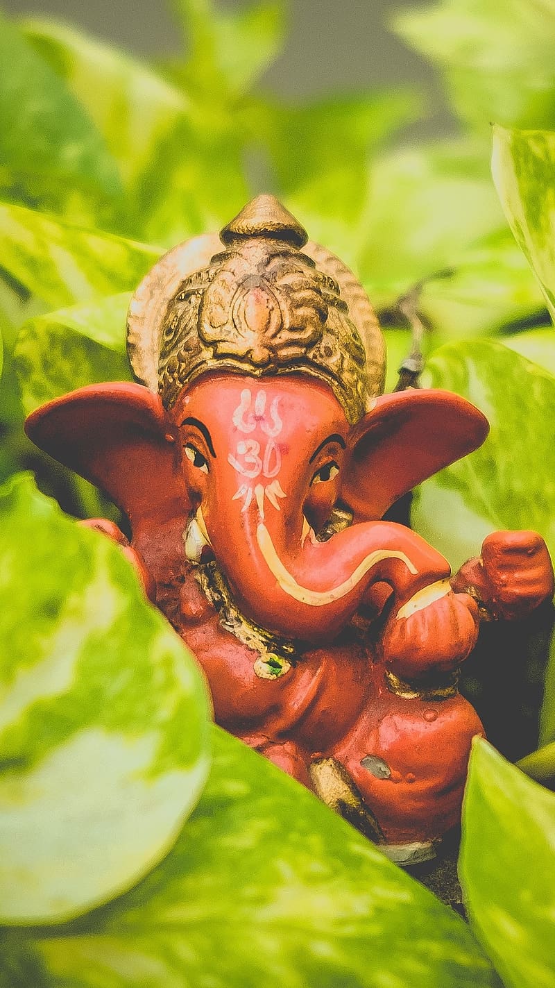 Ganesh Between The Leaves, ganesh , leaves, green, idol, lord, god, HD phone wallpaper
