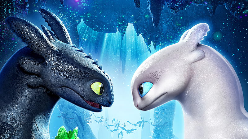 Toothless With His Girlfirend Night Fury , how-to-train-your-dragon-the-hidden-world, how-to-train-your-dragon-3, how-to-train-your-dragon, movies, 2019-movies, animated-movies, light-fury, night-fury, HD wallpaper