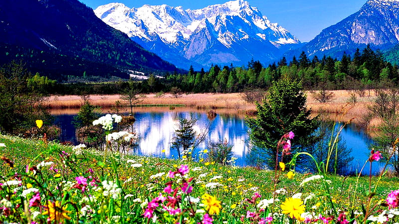 Beautiful Place, colorful flowers, pretty, colorful, grass, sunny, bonito, clouds, splendor, green, flowers, beauty, reflection, spring time, lovely, view, colors, spring, sky, trees, lake, tree, water, mountains, peaceful, nature, landscape, HD wallpaper