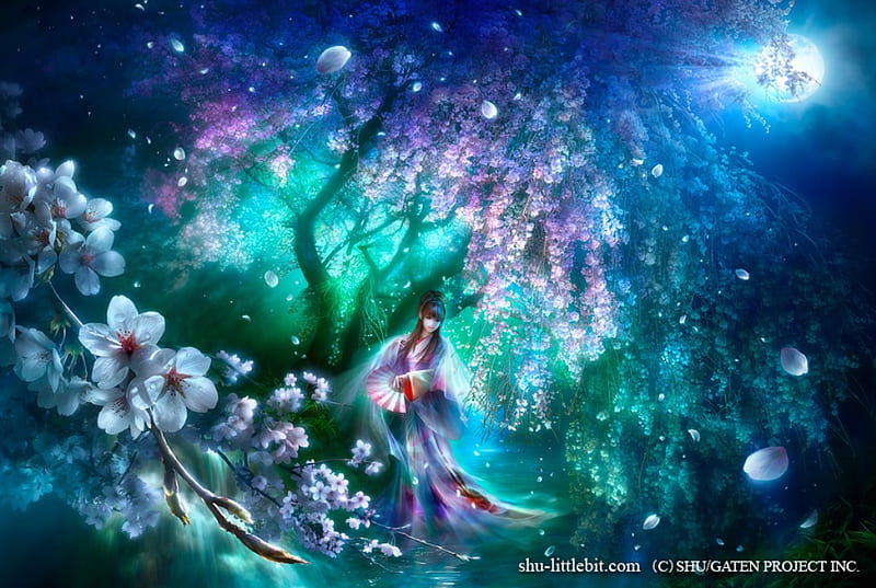 Magical Night Forest, cherry blossom, fantasy, japan, moon, anime, hot, anime girl, night, sakura, forest, female, japanese, kimono, sexy, abstract, cute, tree, 3d, girl, flower, fan, HD wallpaper