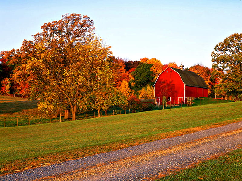 Autumn In Minnesota, Barn, Red, Minnesota USA, Forests, Nature, HD ...