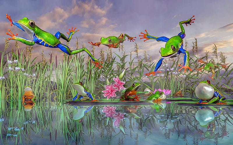 Leaping Frogs (For Di~Greenfroggy), pond, Frogs, water, Colorful, funny, reeds, marsh, HD wallpaper